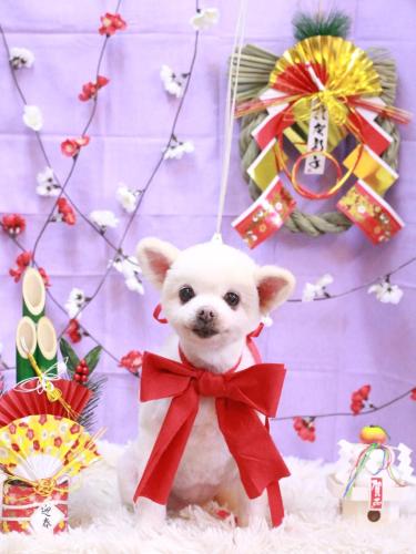 20230109みかんちゃん